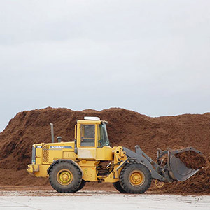 進(jìn)口泥炭、泥炭土批發(fā)