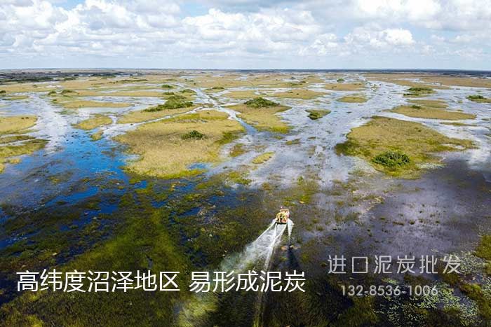 高緯度的沼澤地區(qū)易形成泥炭